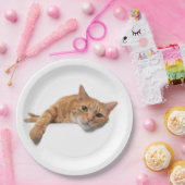 Oranje kattebakje omlaag papieren bordje (Feest)