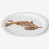 Oranje kattebakje omlaag papieren bordje (Gekanteld)