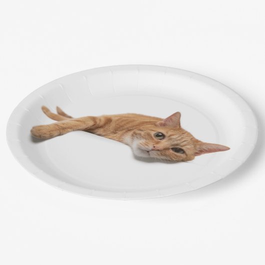 Oranje kattebakje omlaag papieren bordje (Gekanteld)