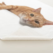 Oranje kattebakje omlaag sherpa deken (3/4)