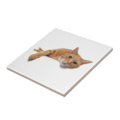 Oranje kattebakje omlaag tegeltje (Zijkant)