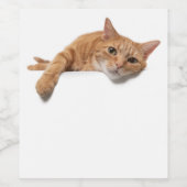 Oranje kattebakje omlaag wijn etiket (Enkel label)