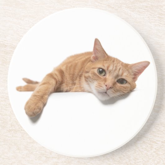 Oranje kattebakje omlaag zandsteen onderzetter (Voorkant)