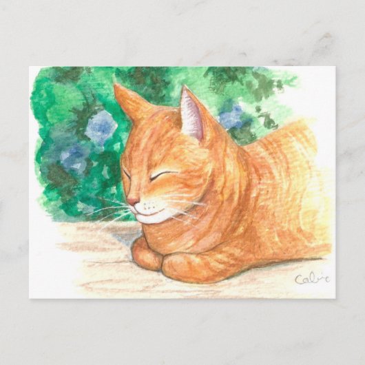 "Oranje katten die zich verplaatsen." Briefkaart (Voorkant)
