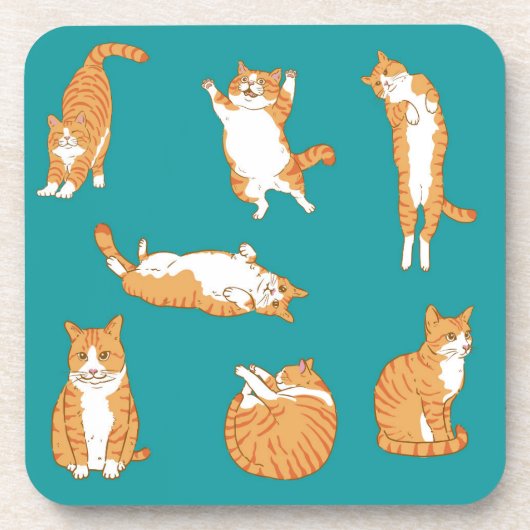 Oranje Katten Grappig Bier Onderzetter (Voorkant)