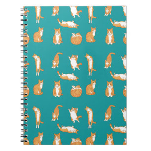 Oranje katten grappig notitieboek