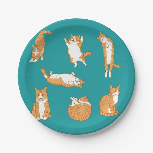 Oranje katten grappig papieren bordje (Voorkant)