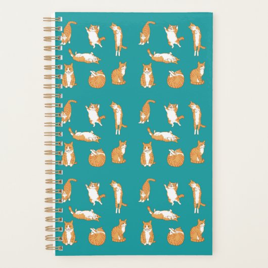 Oranje katten grappig planner (Voorkant)