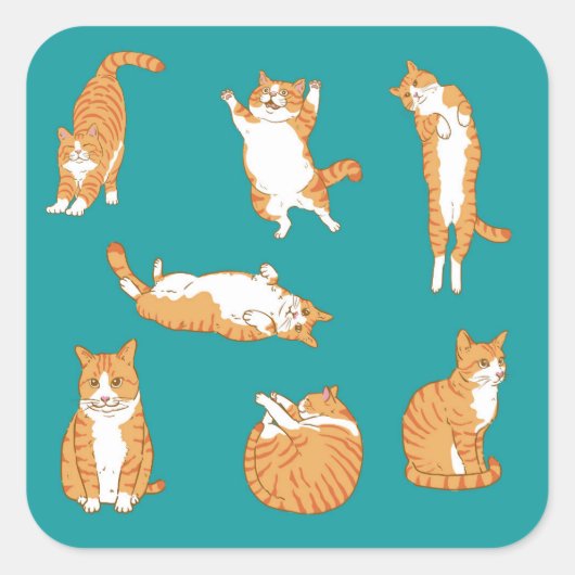 Oranje katten grappig vierkante sticker (Voorkant)