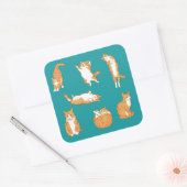 Oranje katten grappig vierkante sticker (Envelop)