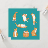 Oranje Katten Grappige Verjaardag Kaart (Voorkant / Achterkant in situ)