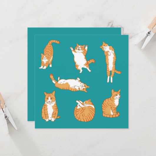 Oranje Katten Grappige Verjaardag Kaart (Voorkant / Achterkant in situ)