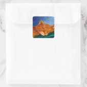Oranje katten Stickers (Tas)