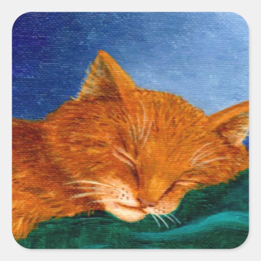 Oranje katten Stickers (Voorkant)