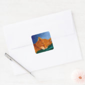 Oranje katten Stickers (Envelop)