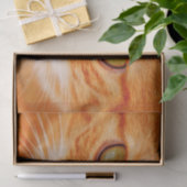 oranje kattenpapier tissuepapier (Geschenk)