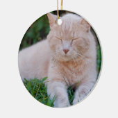 Oranje kattensierplant keramisch ornament (Links)