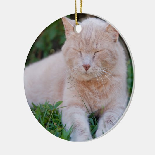 Oranje kattensierplant keramisch ornament (Links)