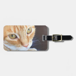 Oranje kattenstolling bagagelabel