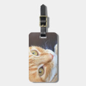 Oranje kattenstolling bagagelabel (Voorkant verticaal)