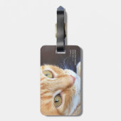 Oranje kattenstolling bagagelabel (Achterkant verticaal)