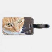 Oranje kattenstolling bagagelabel (Achterkant horizontaal)