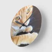 Oranje kattenstolling ronde klok (Hoek)
