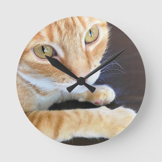 Oranje kattenstolling ronde klok (Voorkant)