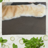 Oranje kattenstolling theedoek (Gevouwen)