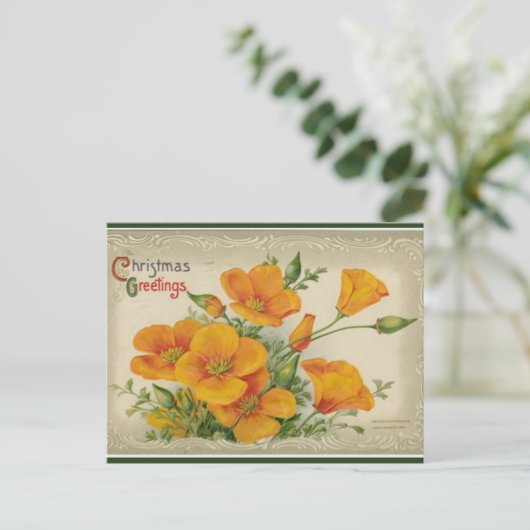  Oranje kerstbloemen Briefkaart (Staand voorkant)