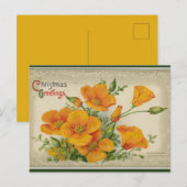  Oranje kerstbloemen Briefkaart (Voorkant / Achterkant)