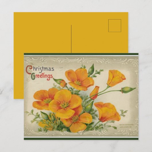  Oranje kerstbloemen Briefkaart (Voorkant / Achterkant)
