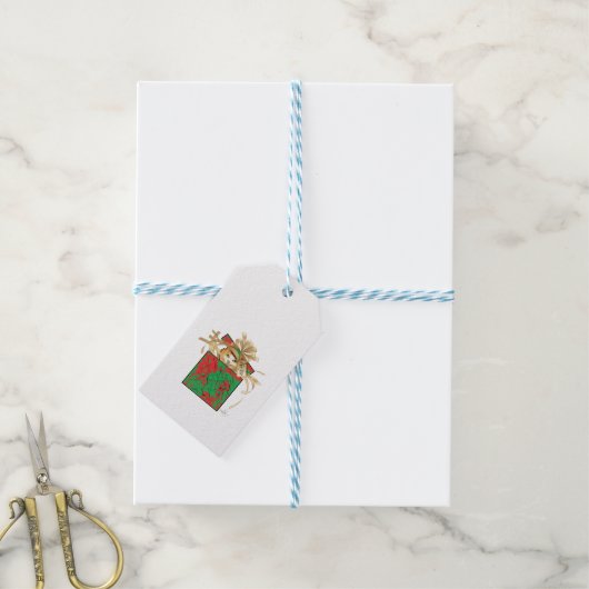 Oranje kerstcadeau met kat cadeaulabel (Met Touw)