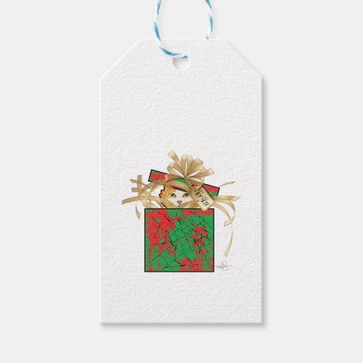 Oranje kerstcadeau met kat cadeaulabel (Voorkant)