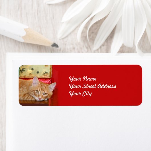 Oranje kerstfeest etiket (Insitu)