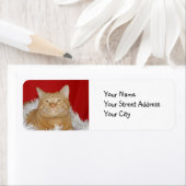 Oranje kerstfeest etiket (Insitu)