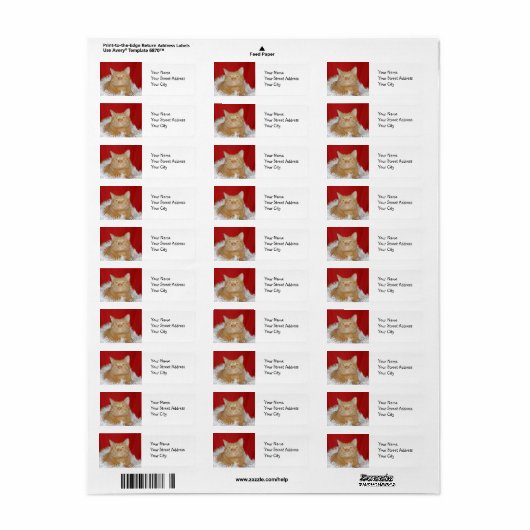 Oranje kerstfeest etiket (Full Sheet)