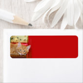 Oranje kerstfeest etiket (Insitu)