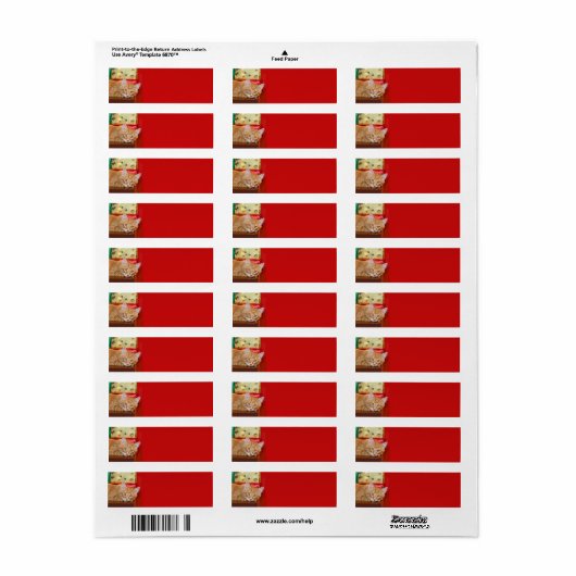 Oranje kerstfeest etiket (Full Sheet)