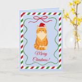 Oranje Kerstkat Kaart (Gele Bloem)