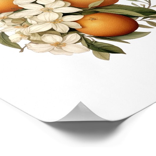  Oranje keuken Poster (Hoek)