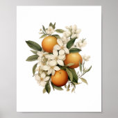  Oranje keuken Poster (Voorkant)