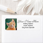 Oranje Keukenadres Etiket (Insitu)