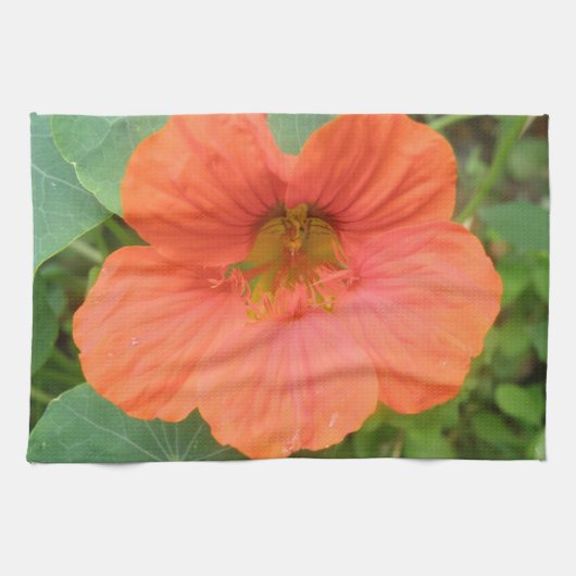 Oranje keukenhanddoek voor Nasturtium (Horizontaal)