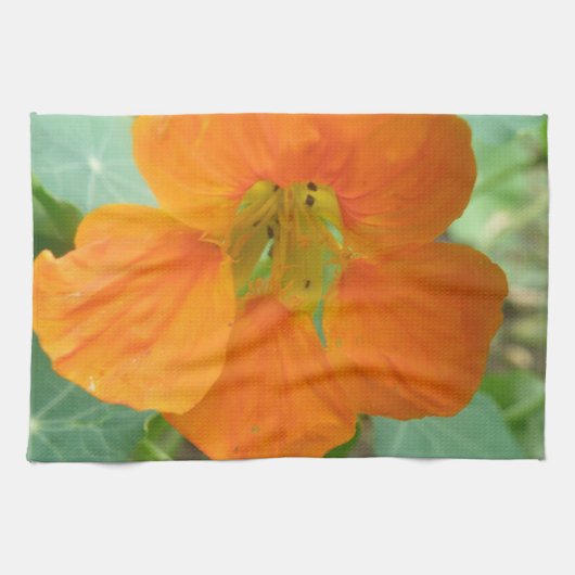 Oranje keukenhanddoek voor Nasturtium (Horizontaal)