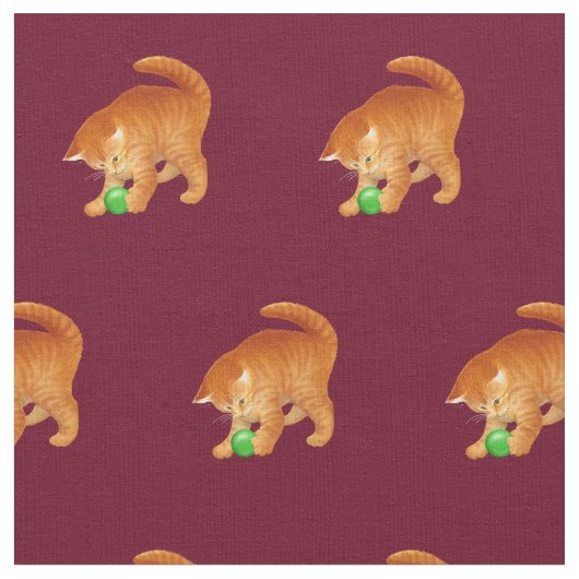 Oranje keukenkat met balkweefsel stof (Close Up)