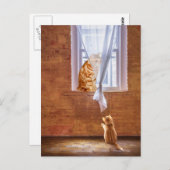 Oranje keukenkatten briefkaart (Voorkant / Achterkant)