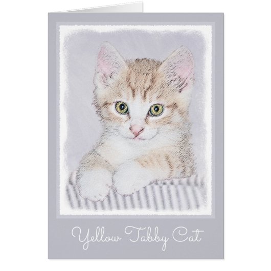 Oranje keukenschilderij - Oorspronkelijke kattekun (Voorkant)