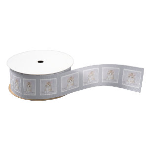 Oranje keukenschilderij - Oorspronkelijke kattekun Grosgrain Lint