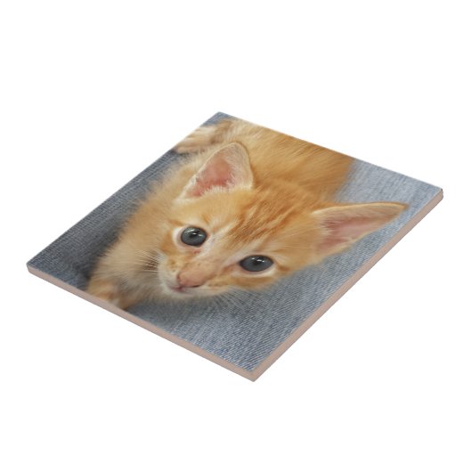 Oranje keuten tegeltje (Zijkant)